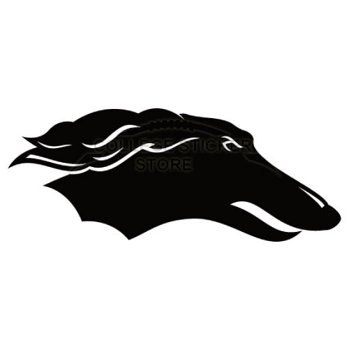 Homemade Southern Illinois Salukis Iron-on Transfers (Wall Stickers)NO.6275